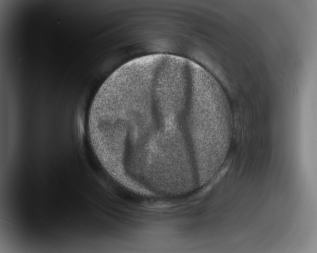 X0000087600062200705181244