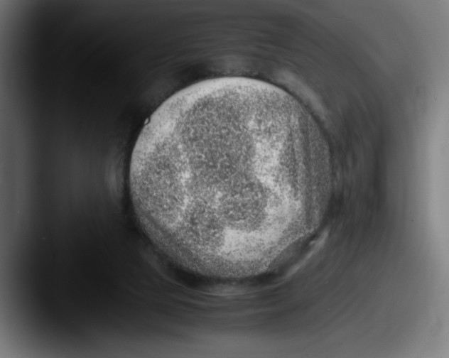 X0000087600065200705181244