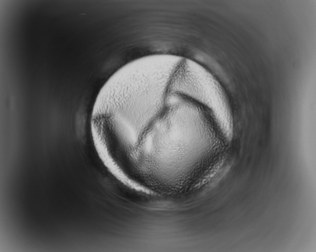 X0000087600066200705181245