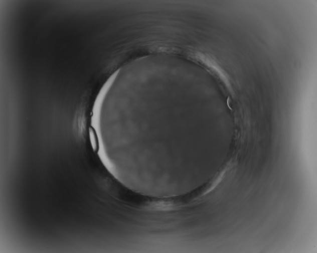 X0000087600067200705181245