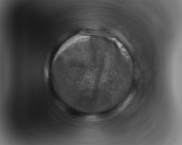 X0000087600068200705181245