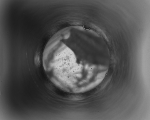 X0000087600069200705181245