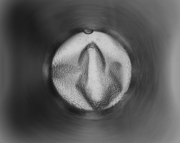 X0000087600070200705181245