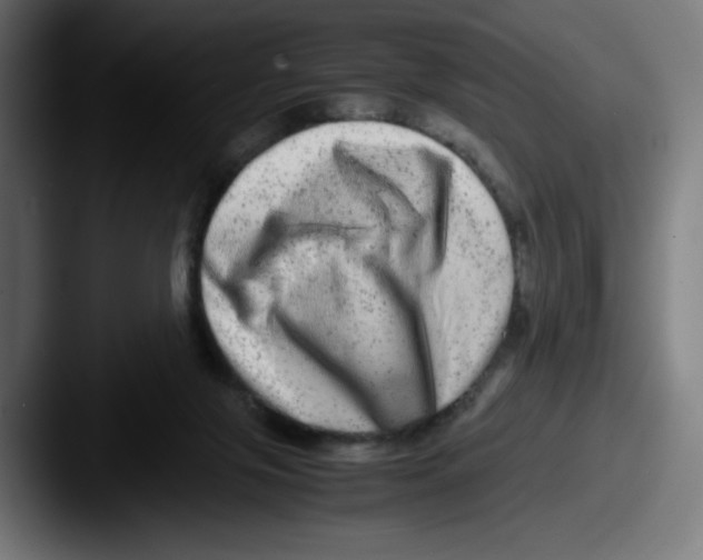 X0000087600071200705181245