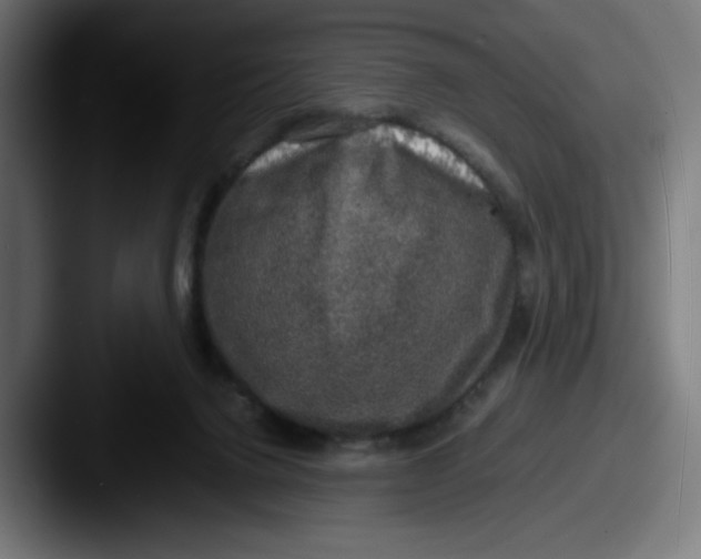 X0000087600072200705181245