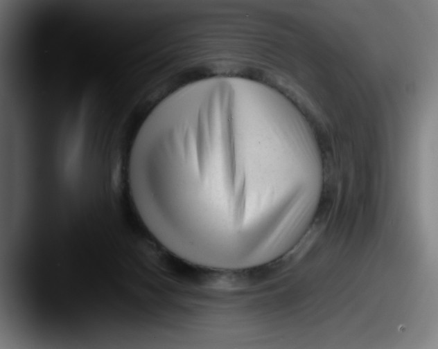 X0000087600074200705181245