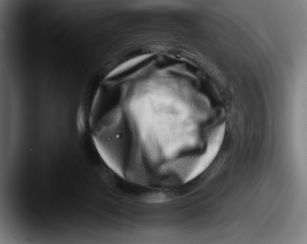 X0000087600075200705181245