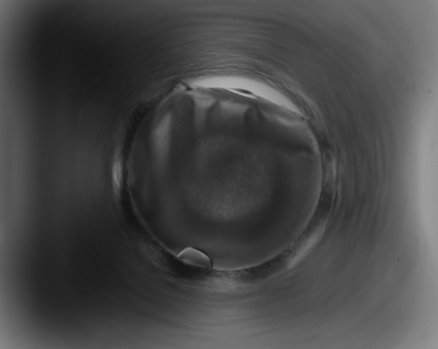 X0000087600076200705181245