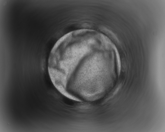 X0000087600077200705181245