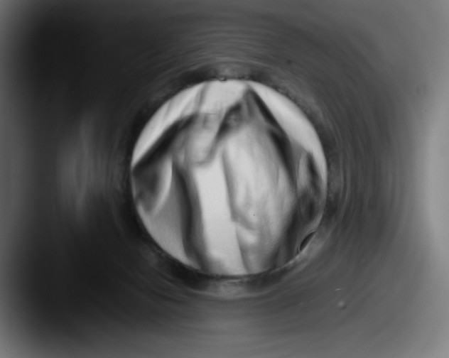 X0000087600078200705181245