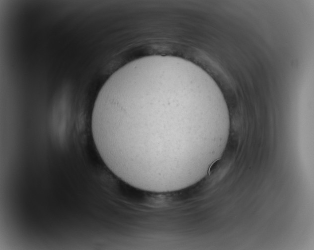 X0000087600079200705181245