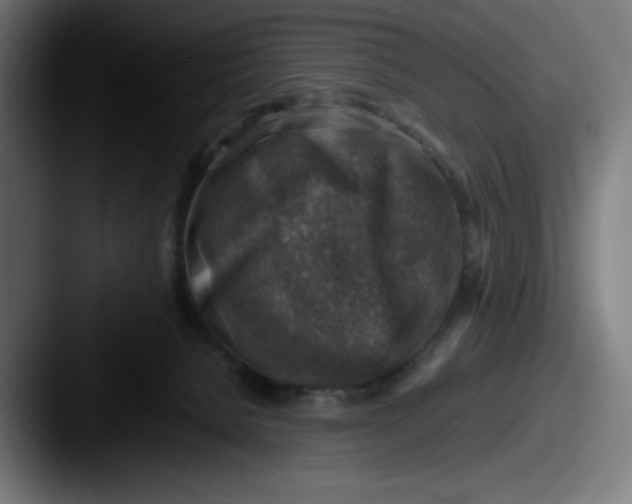 X0000087600080200705181245