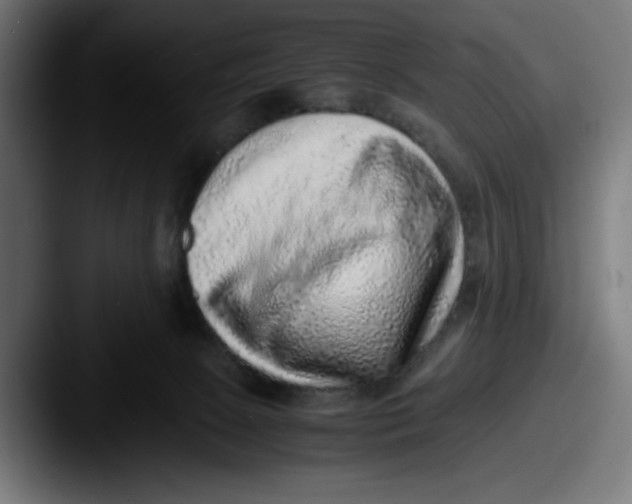 X0000087600081200705181245