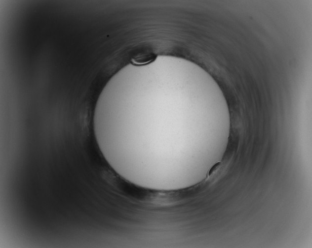 X0000087600082200705181245