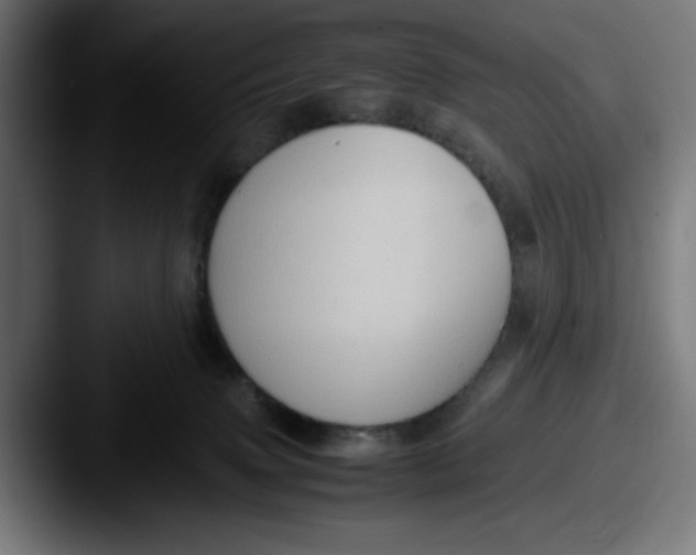 X0000087600083200705181245