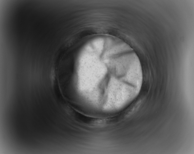 X0000087600084200705181245