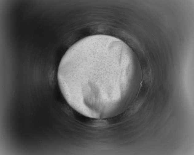 X0000087600087200705181245