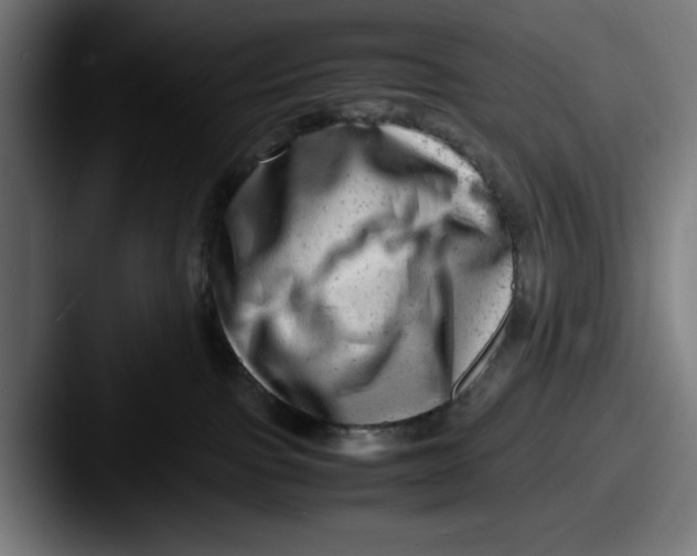 X0000087600091200705181245