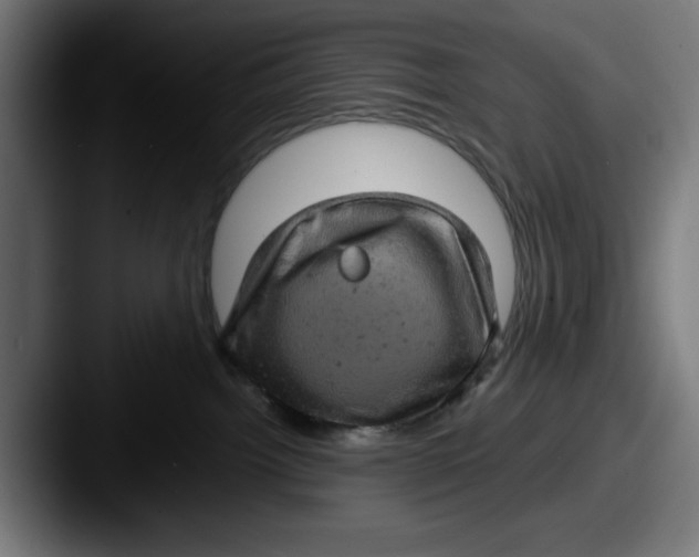 X0000087600092200705181245