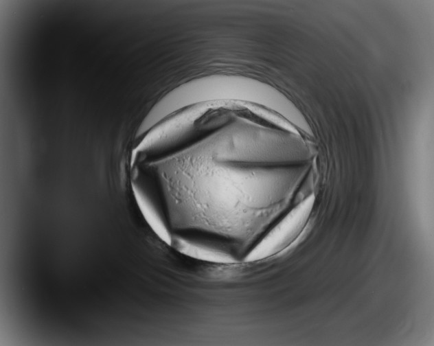 X0000087600094200705181245