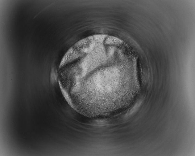 X0000087600095200705181245