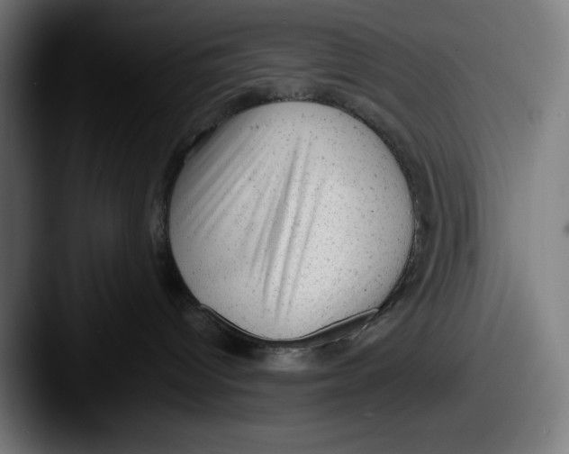 X0000087600096200705181245