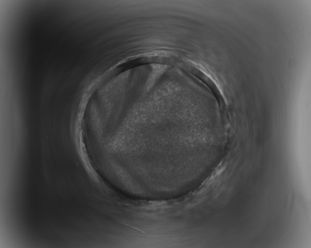 X0000087600097200705181244