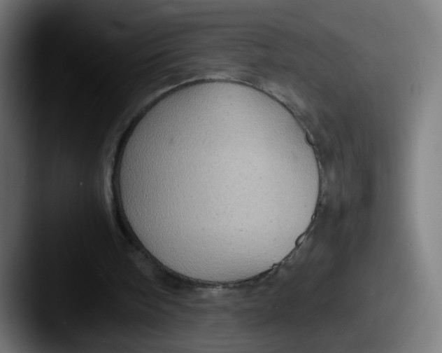 X0000087600098200705181244