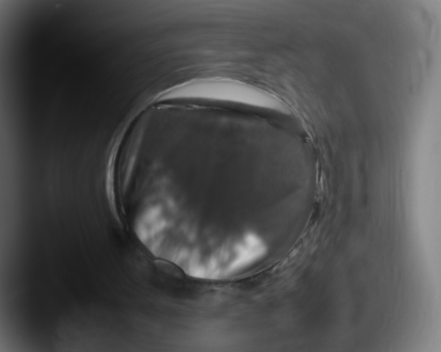 X0000087600099200705181244