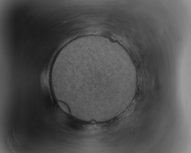 X0000087600100200705181244