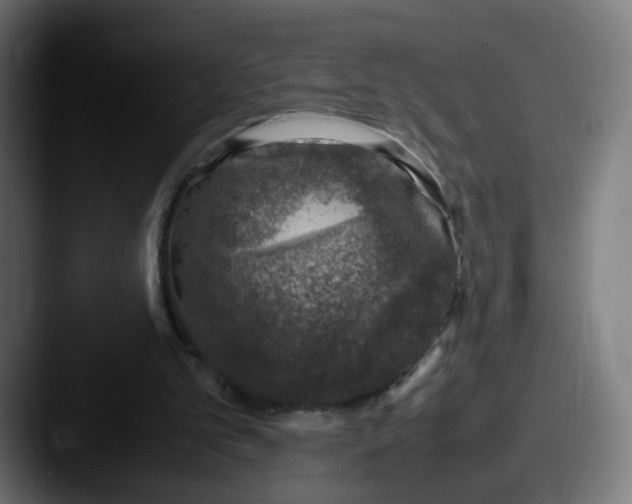 X0000087600101200705181244