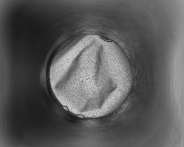 X0000087600102200705181244