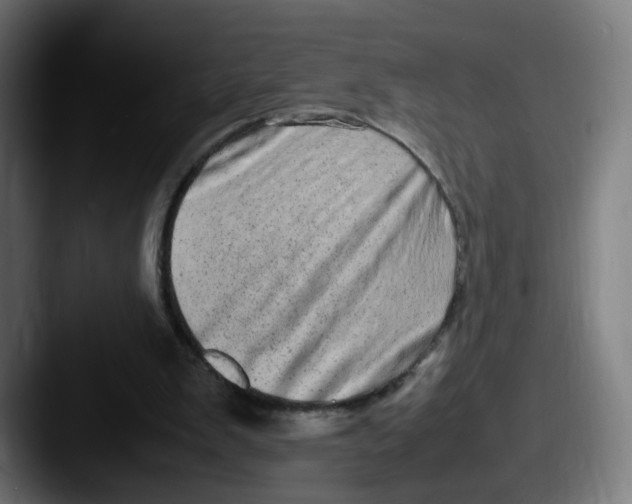 X0000087600103200705181244