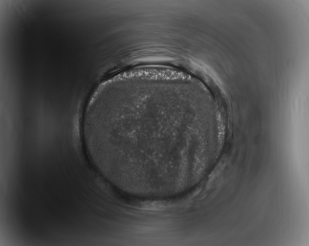 X0000087600105200705181244