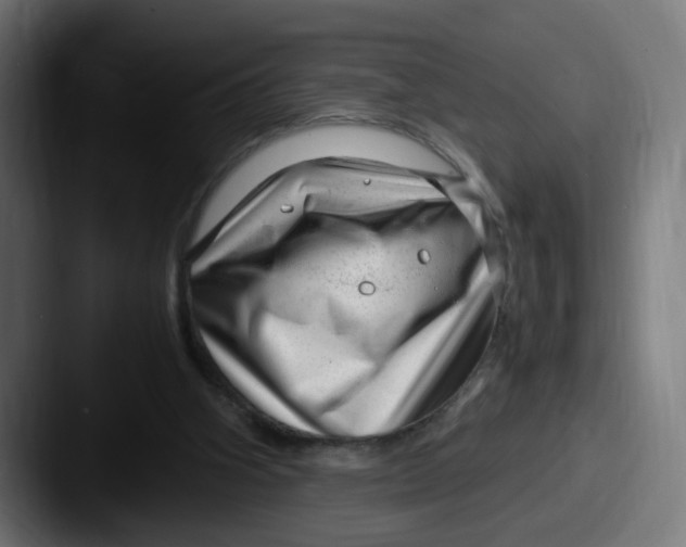 X0000087600106200705181244