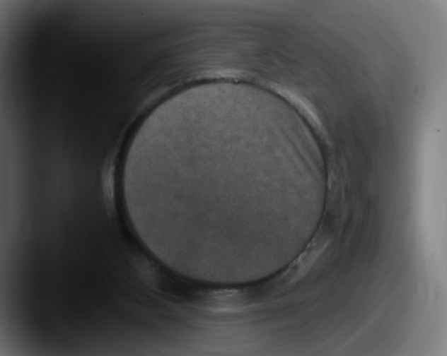 X0000087600108200705181244