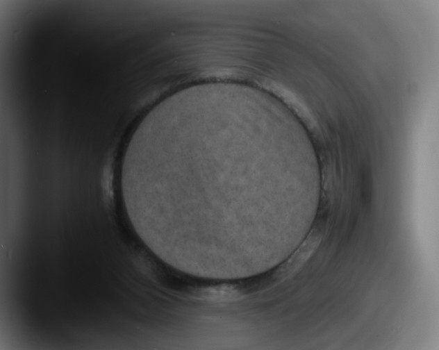 X0000087600112200705181244