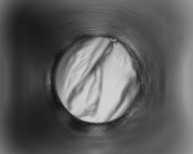 X0000087600115200705181244