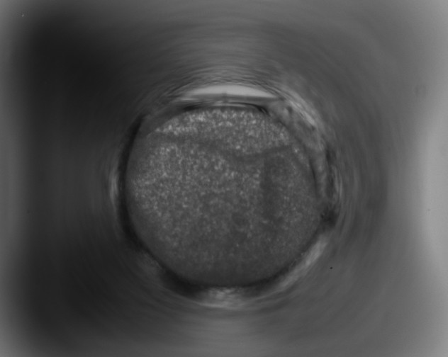 X0000087600117200705181244