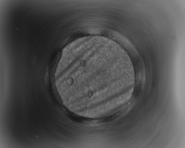 X0000087600120200705181244