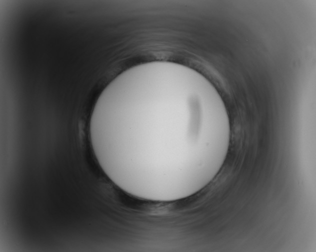 X0000087600122200705181244