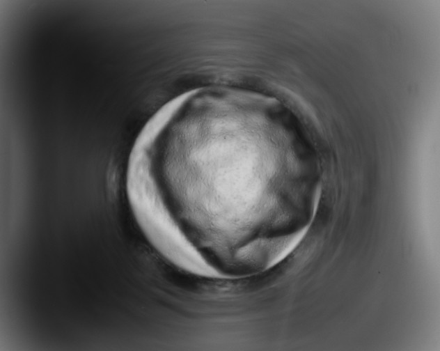 X0000087600123200705181244