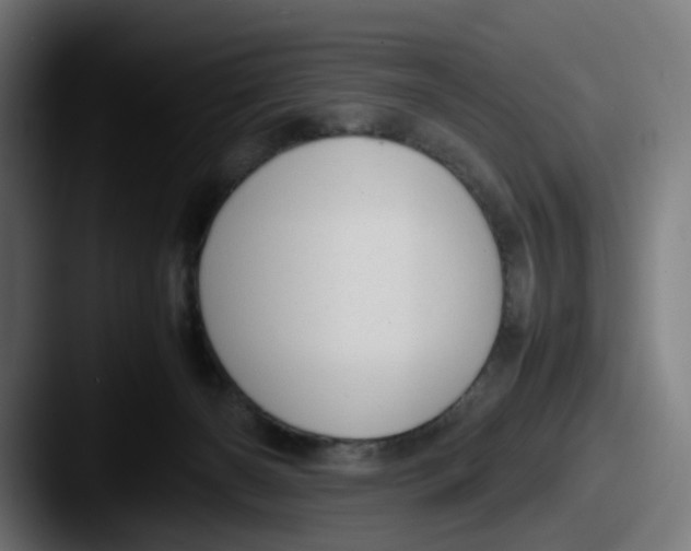 X0000087600126200705181244