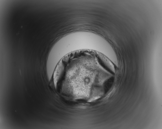 X0000087600128200705181244