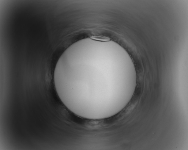 X0000087600129200705181244