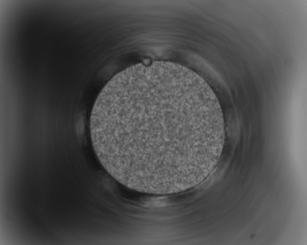 X0000087600132200705181244