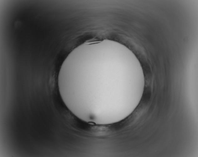 X0000087600133200705181244