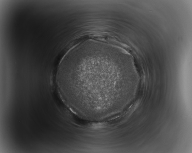 X0000087600134200705181244