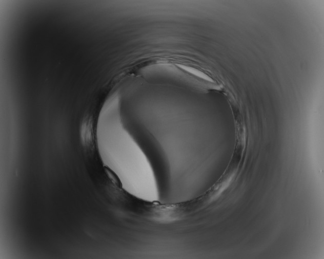 X0000087600143200705181244