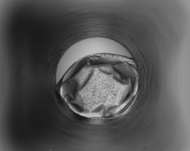 X0000087600144200705181244